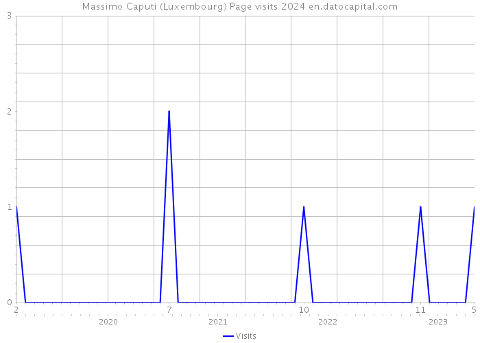 Massimo Caputi (Luxembourg) Page visits 2024 
