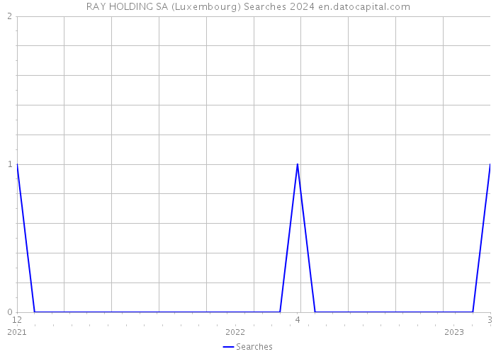 RAY HOLDING SA (Luxembourg) Searches 2024 
