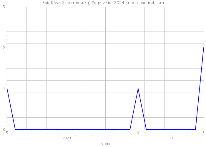Sait Köse (Luxembourg) Page visits 2024 