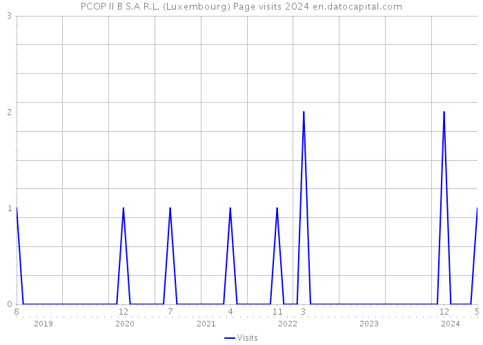 PCOP II B S.A R.L. (Luxembourg) Page visits 2024 
