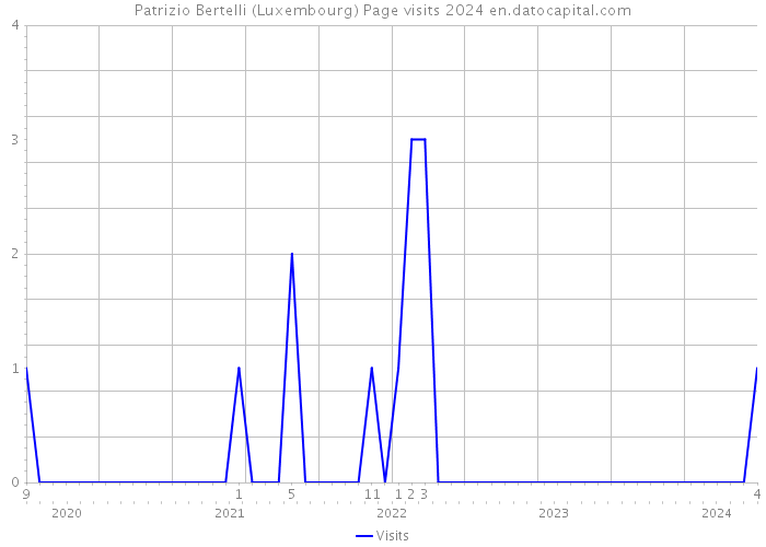 Patrizio Bertelli (Luxembourg) Page visits 2024 