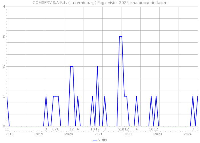 COMSERV S.A R.L. (Luxembourg) Page visits 2024 