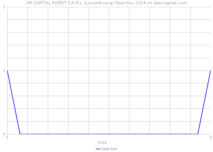 VH CAPITAL INVEST S.A R.L. (Luxembourg) Searches 2024 