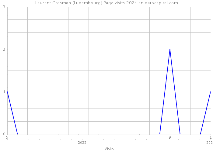 Laurent Grosman (Luxembourg) Page visits 2024 