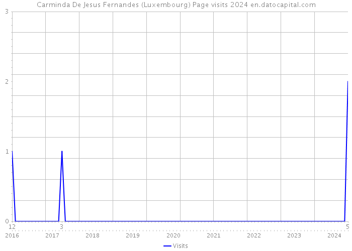 Carminda De Jesus Fernandes (Luxembourg) Page visits 2024 