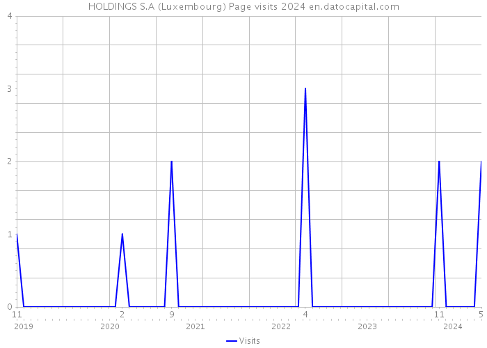 HOLDINGS S.A (Luxembourg) Page visits 2024 