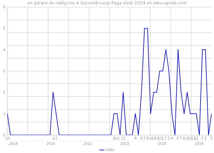 en gérant de catégorie A (Luxembourg) Page visits 2024 