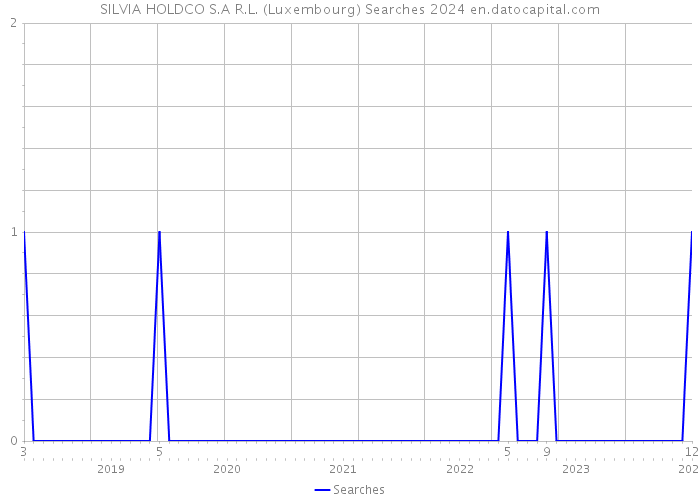 SILVIA HOLDCO S.A R.L. (Luxembourg) Searches 2024 