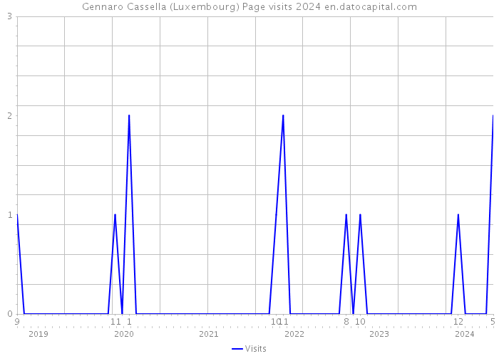 Gennaro Cassella (Luxembourg) Page visits 2024 