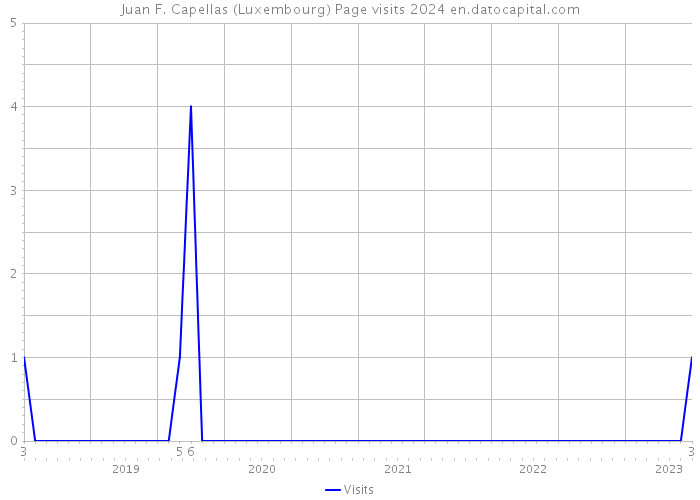 Juan F. Capellas (Luxembourg) Page visits 2024 