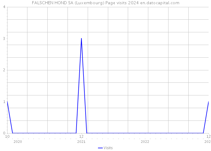 FALSCHEN HOND SA (Luxembourg) Page visits 2024 