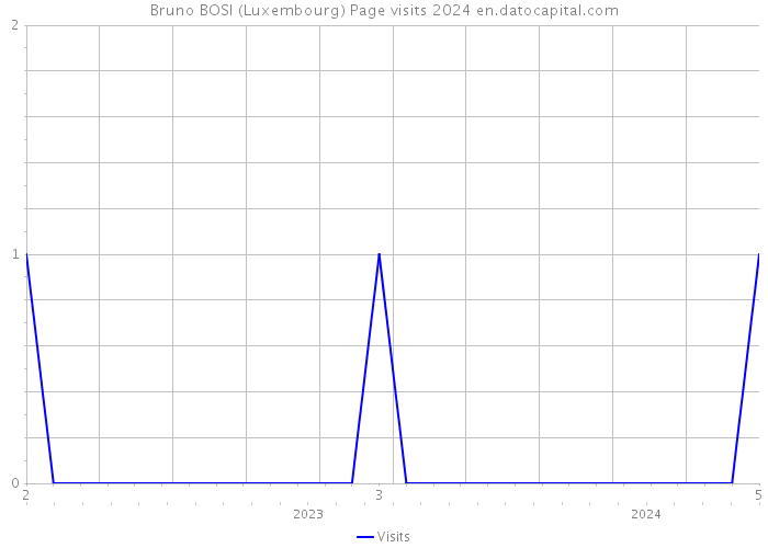 Bruno BOSI (Luxembourg) Page visits 2024 