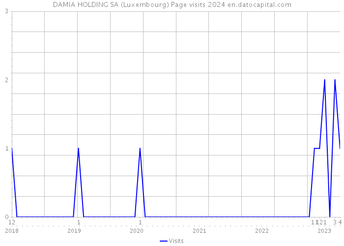 DAMIA HOLDING SA (Luxembourg) Page visits 2024 