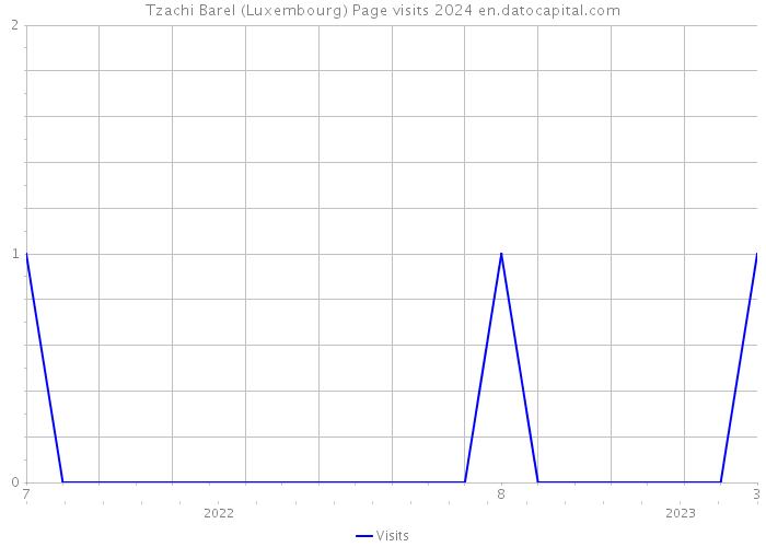 Tzachi Barel (Luxembourg) Page visits 2024 