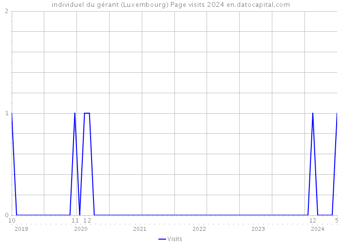 individuel du gérant (Luxembourg) Page visits 2024 