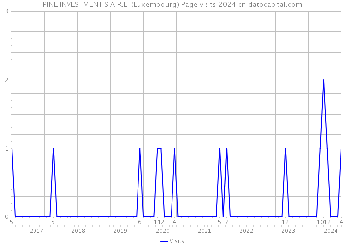 PINE INVESTMENT S.A R.L. (Luxembourg) Page visits 2024 