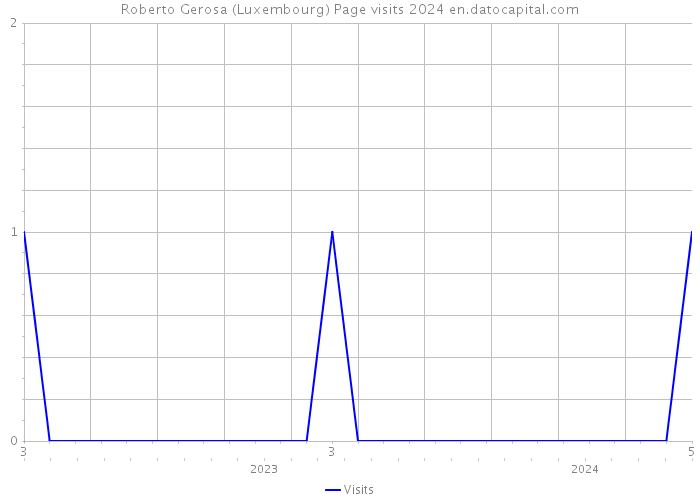 Roberto Gerosa (Luxembourg) Page visits 2024 