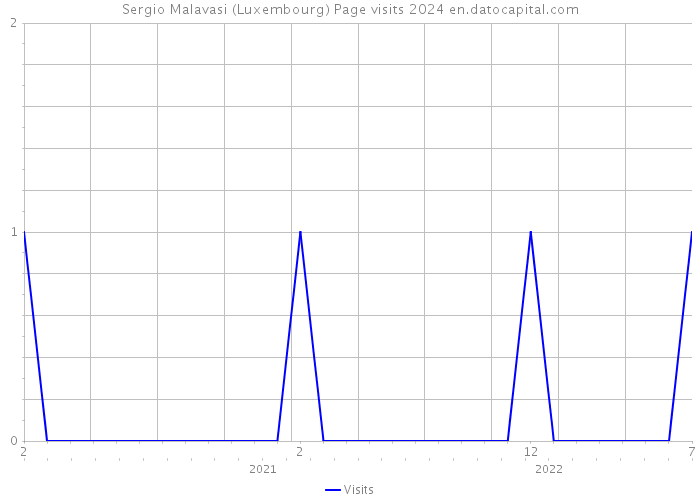 Sergio Malavasi (Luxembourg) Page visits 2024 