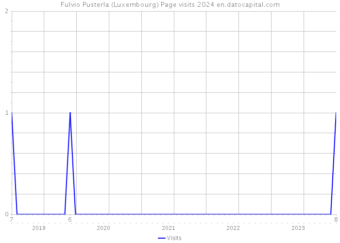 Fulvio Pusterla (Luxembourg) Page visits 2024 