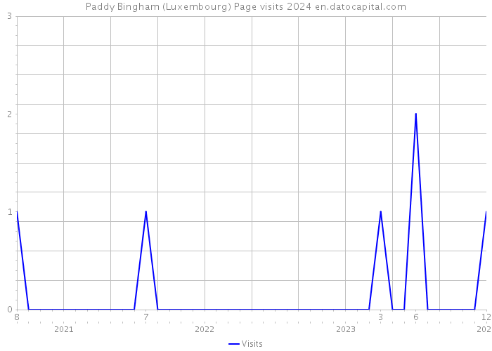 Paddy Bingham (Luxembourg) Page visits 2024 