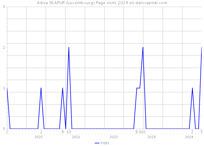 Adisa SKAPUR (Luxembourg) Page visits 2024 