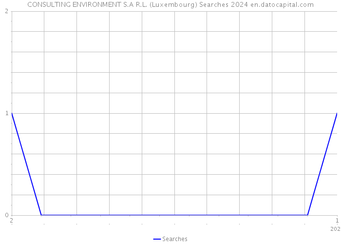 CONSULTING ENVIRONMENT S.A R.L. (Luxembourg) Searches 2024 
