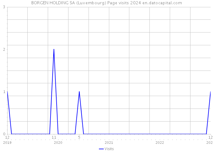 BORGEN HOLDING SA (Luxembourg) Page visits 2024 