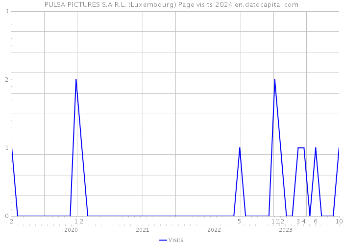 PULSA PICTURES S.A R.L. (Luxembourg) Page visits 2024 
