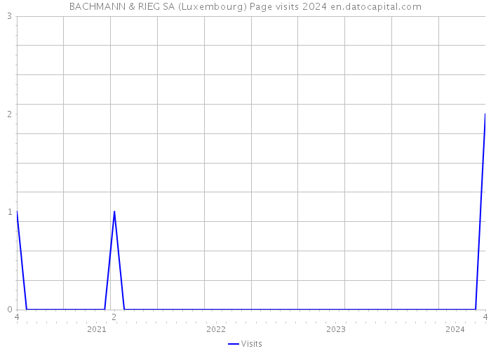 BACHMANN & RIEG SA (Luxembourg) Page visits 2024 