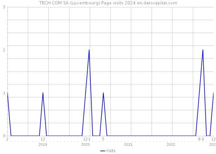 TECH COM SA (Luxembourg) Page visits 2024 