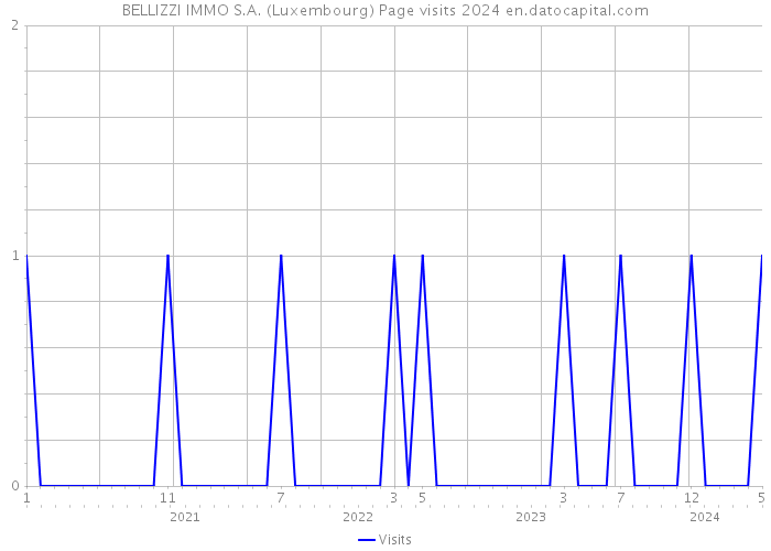 BELLIZZI IMMO S.A. (Luxembourg) Page visits 2024 