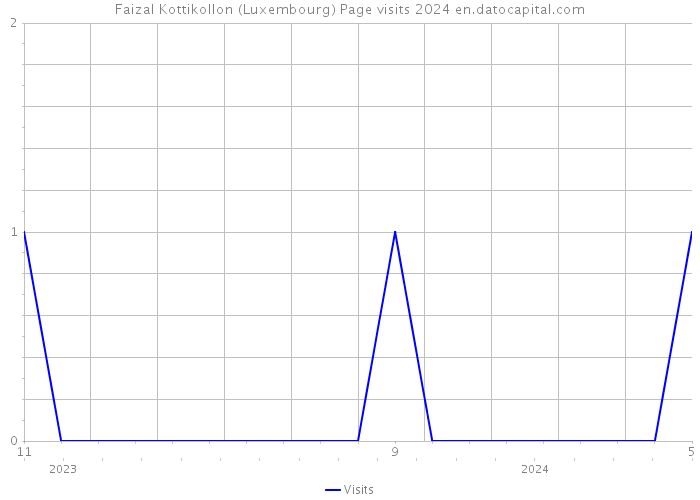 Faizal Kottikollon (Luxembourg) Page visits 2024 