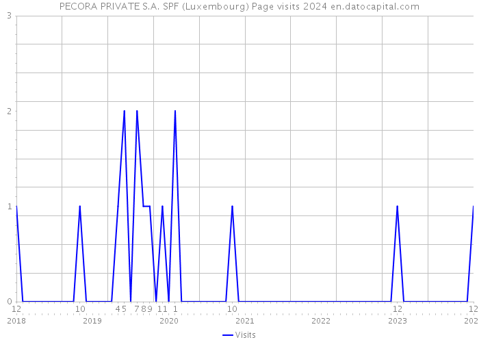 PECORA PRIVATE S.A. SPF (Luxembourg) Page visits 2024 
