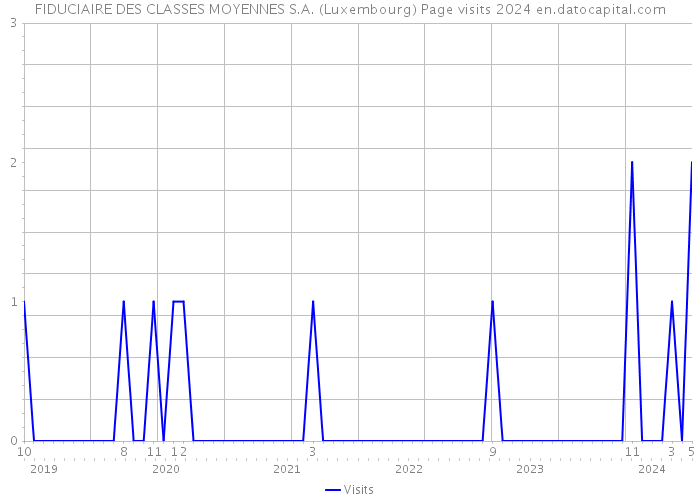 FIDUCIAIRE DES CLASSES MOYENNES S.A. (Luxembourg) Page visits 2024 