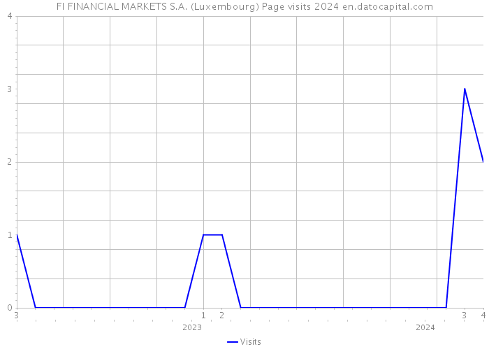 FI FINANCIAL MARKETS S.A. (Luxembourg) Page visits 2024 