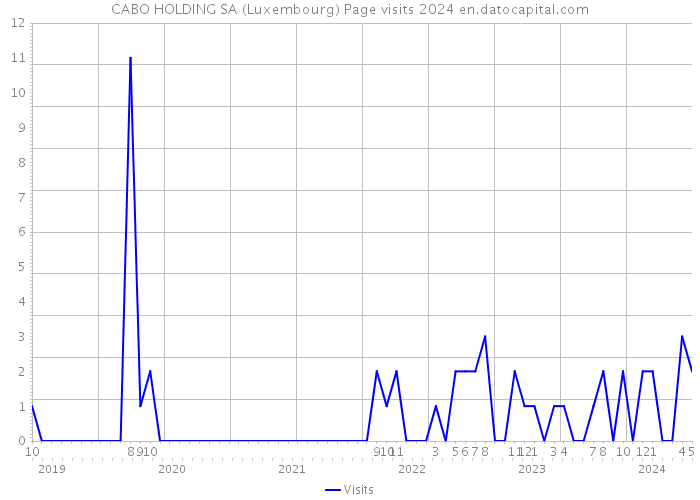 CABO HOLDING SA (Luxembourg) Page visits 2024 