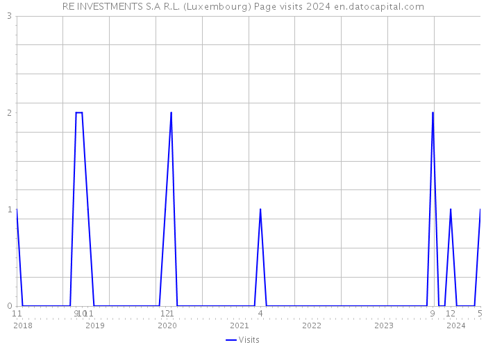 RE INVESTMENTS S.A R.L. (Luxembourg) Page visits 2024 