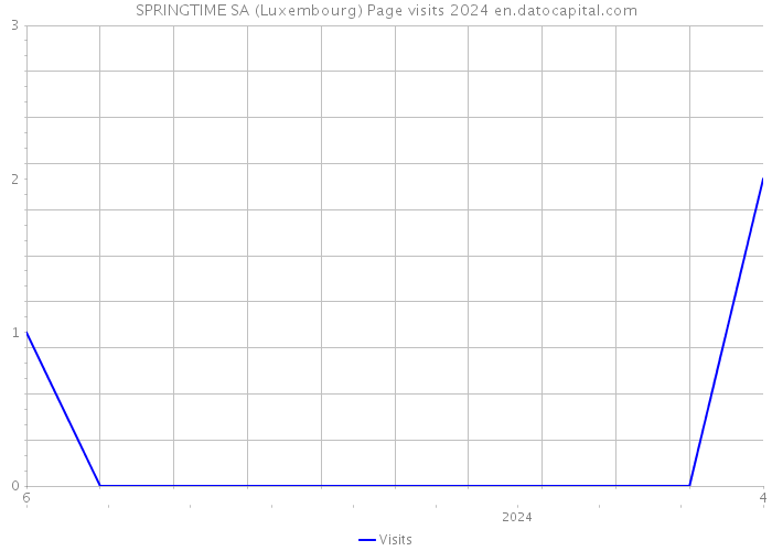 SPRINGTIME SA (Luxembourg) Page visits 2024 