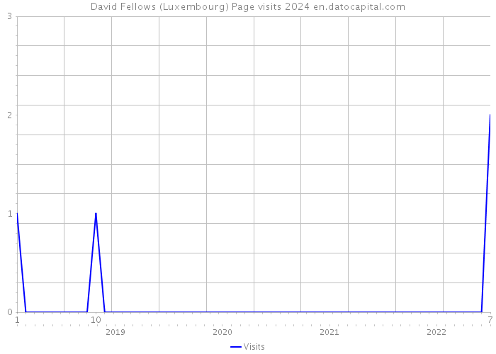 David Fellows (Luxembourg) Page visits 2024 