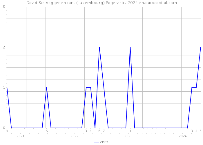 David Steinegger en tant (Luxembourg) Page visits 2024 