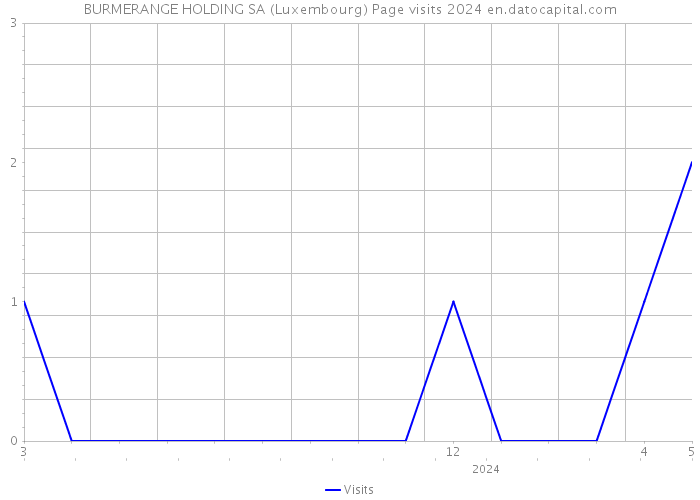 BURMERANGE HOLDING SA (Luxembourg) Page visits 2024 