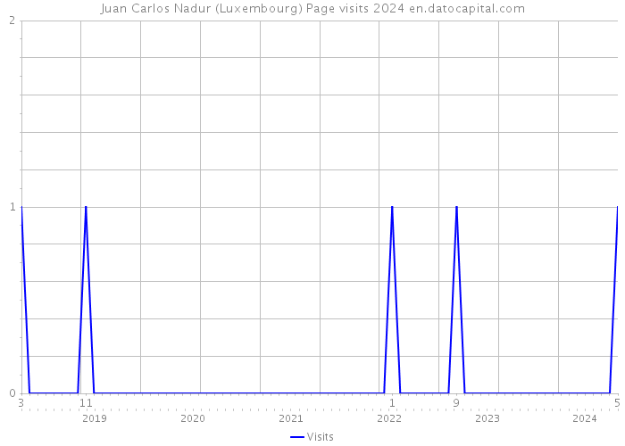 Juan Carlos Nadur (Luxembourg) Page visits 2024 