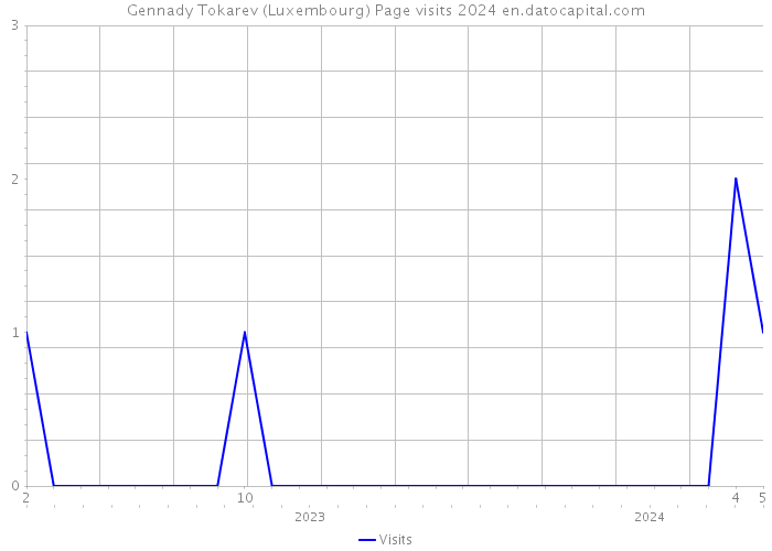 Gennady Tokarev (Luxembourg) Page visits 2024 