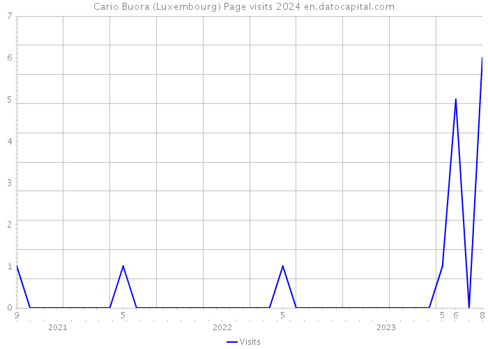 Cario Buora (Luxembourg) Page visits 2024 