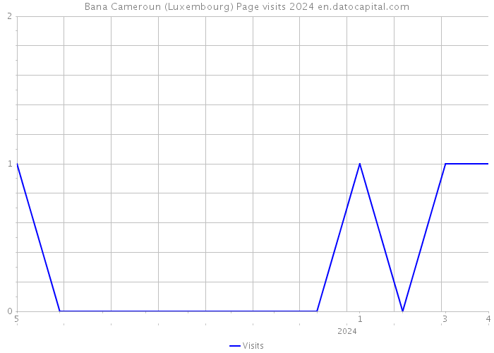 Bana Cameroun (Luxembourg) Page visits 2024 