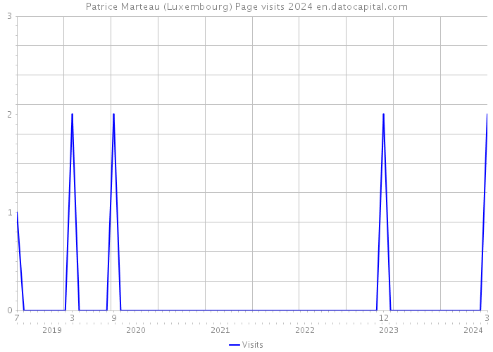 Patrice Marteau (Luxembourg) Page visits 2024 