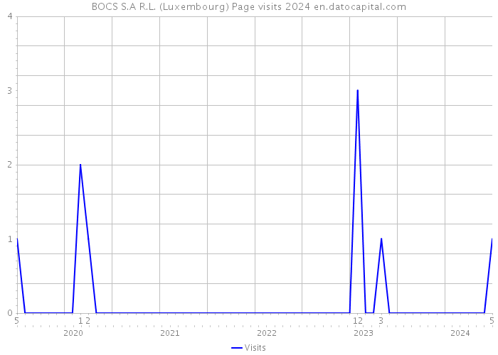 BOCS S.A R.L. (Luxembourg) Page visits 2024 
