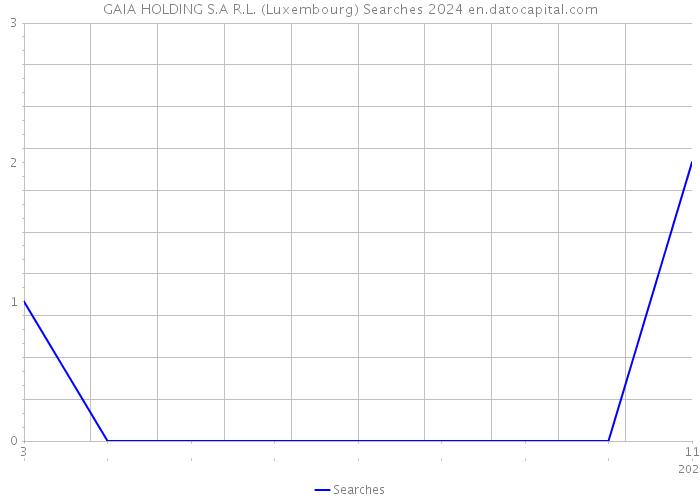 GAIA HOLDING S.A R.L. (Luxembourg) Searches 2024 
