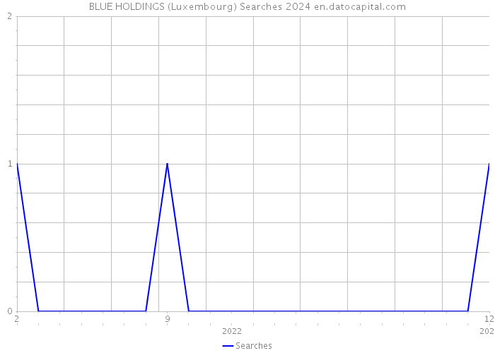 BLUE HOLDINGS (Luxembourg) Searches 2024 