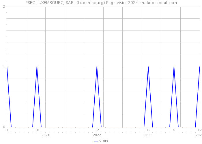 PSEG LUXEMBOURG, SARL (Luxembourg) Page visits 2024 